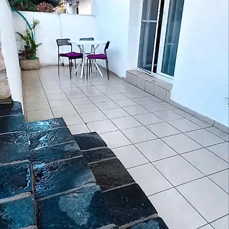 Camellia וראסנה