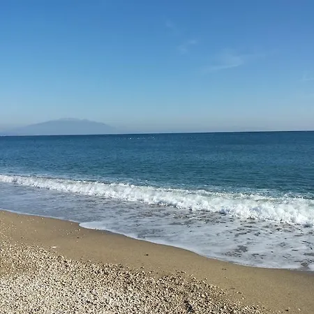 Camellia * וראסנה