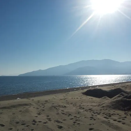 Camellia וראסנה