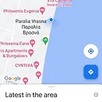 Camellia * Врасна