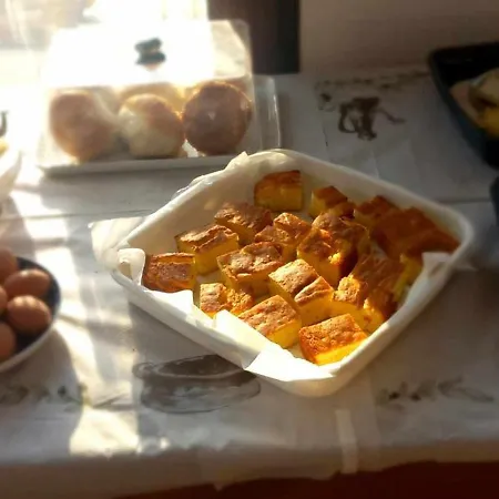 Camellia *