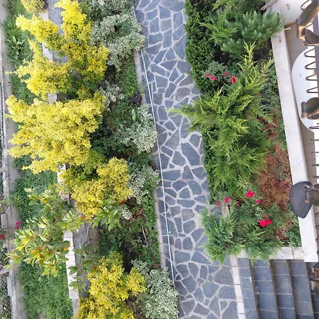 Appartamento Camellia