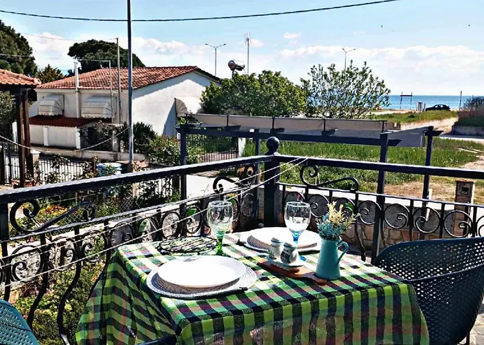 Camellia Apartamento