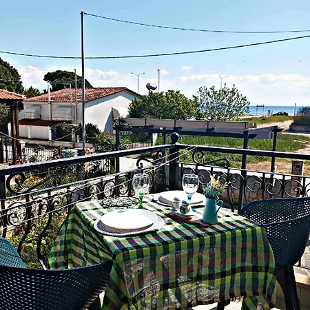 Villa Camellia Apartment