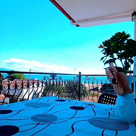 Villa Camellia *